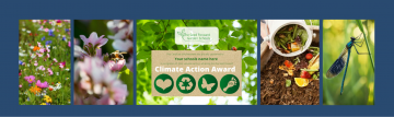 Climate Action Award